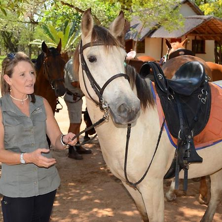 Wild Ride Safaris And Bush Camp Villa Hoedspruit Luaran gambar