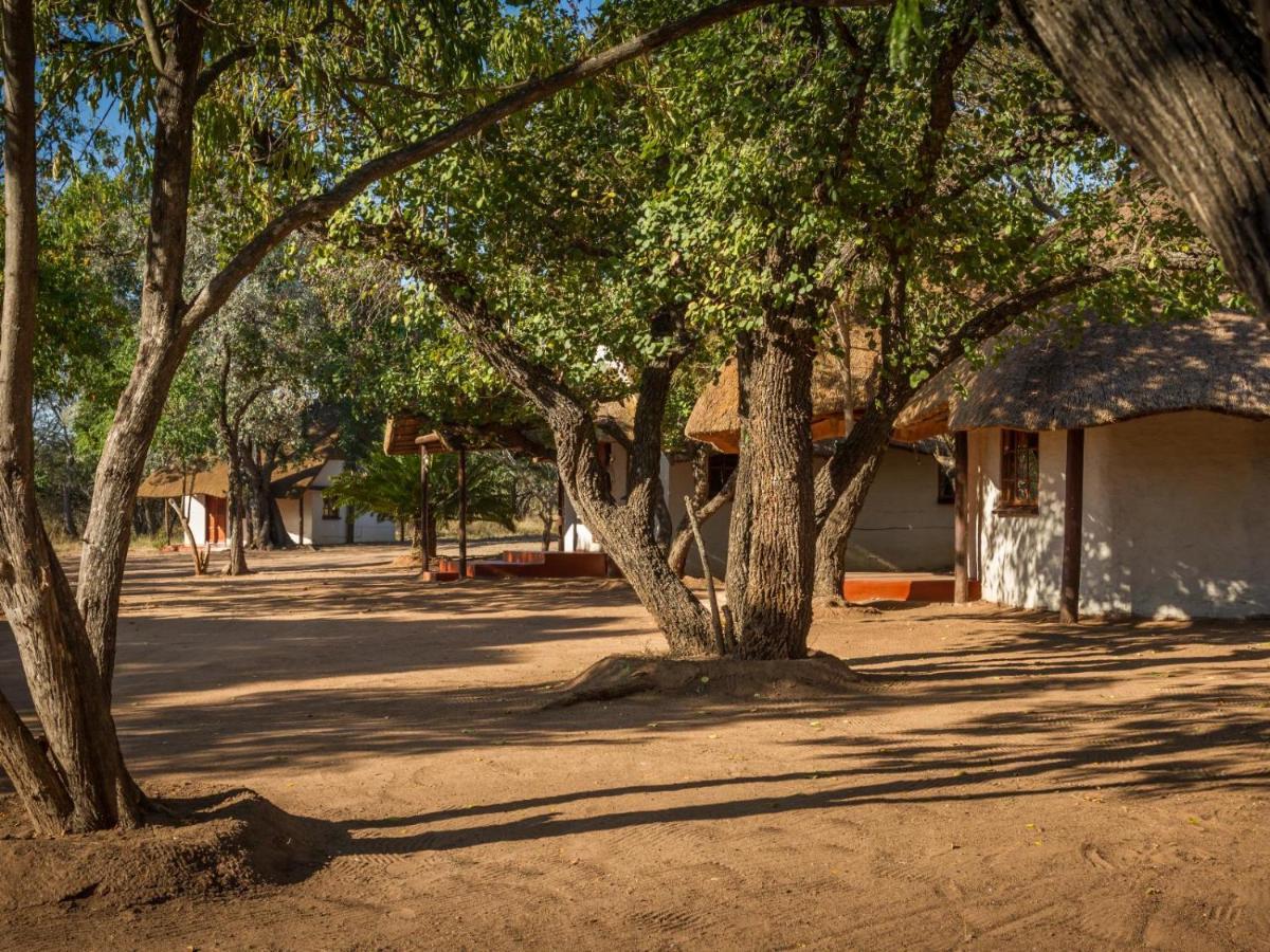 Wild Ride Safaris And Bush Camp Villa Hoedspruit Luaran gambar