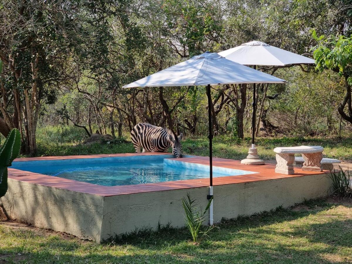 Wild Ride Safaris And Bush Camp Villa Hoedspruit Luaran gambar