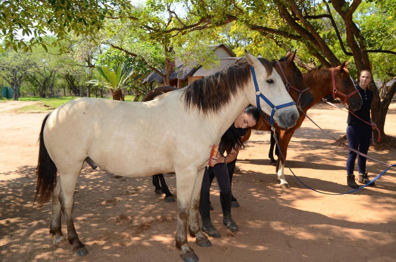 Wild Ride Safaris And Bush Camp Villa Hoedspruit Luaran gambar